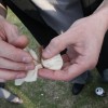 To guerilla market Guerilla Science we like to hand out sweet science facts (such as, "time bends") swaddled around sweets inside silken sacs. June 20 2009.