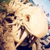 The head of a life-size wooden dragon, one of many hand-crafted sculptures on display at the Glastonbury Festival, June 2003. I shot this with a disposable camera, as I dared not take my valuables into the festival. Published in The Varsity, March 29 2004.
